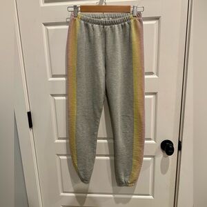 Wildfox LA Rainbow Stripe Knox Sweatpants Joggers